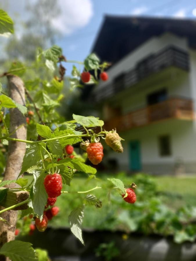 The Riverside Chill Hostel Блед Екстериор снимка