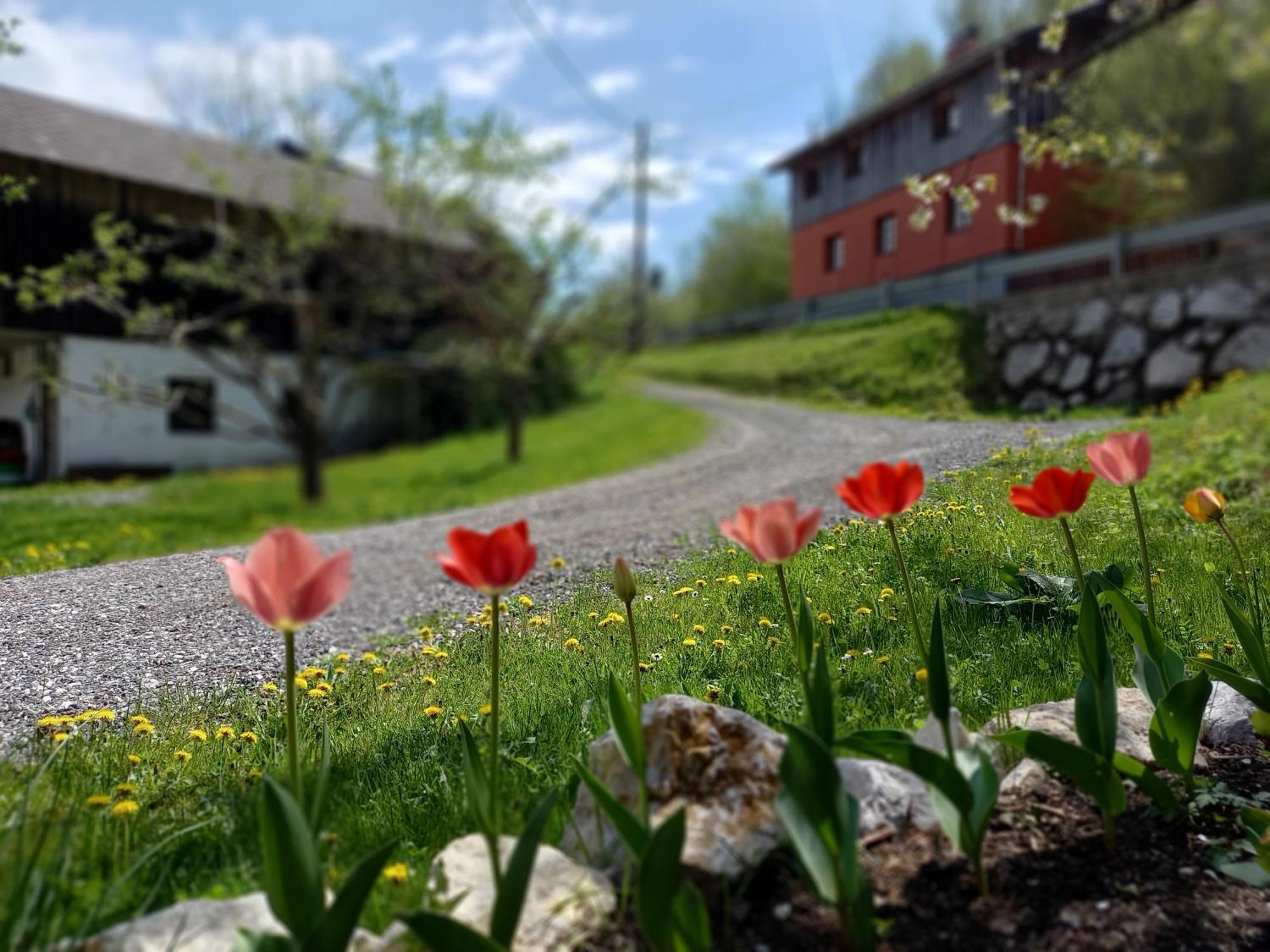 The Riverside Chill Hostel Блед Екстериор снимка