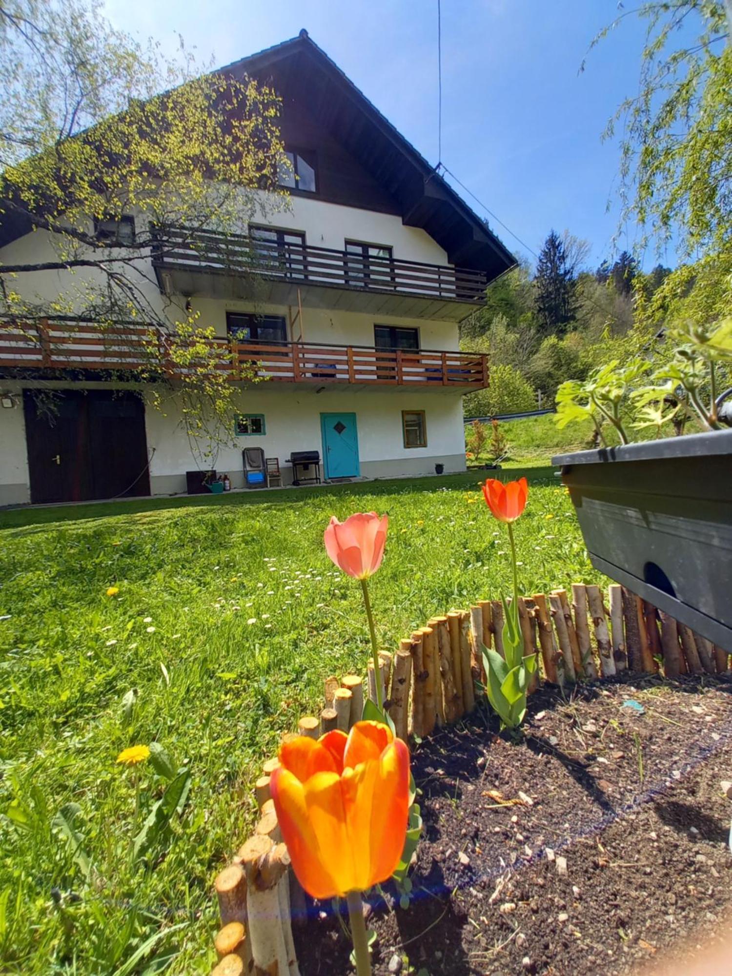 The Riverside Chill Hostel Блед Екстериор снимка